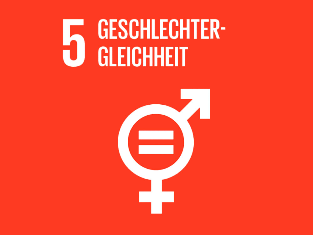 Sprog og Verdensmål: Gleichheit der Geschlechter – Ziel 5