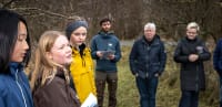Borgerne beder om biller og brumbasser: Københavns Kommune har vedtaget strategi for biodiversitet