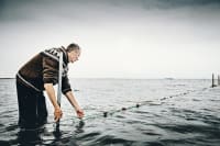 Spøgelsesnet fanger fisk længe efter, de er tabt: Nu skal fritidsfiskere også melde mistet fiskeudstyr