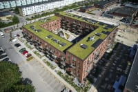 Grønne tage boomer med en 15-dobling på bare ti år. Hvad kan de? 