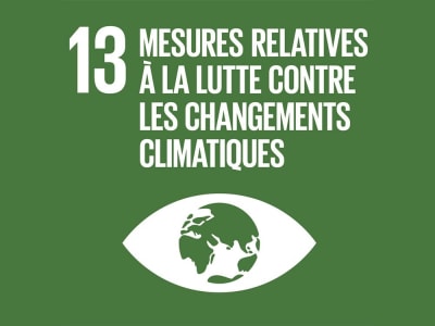 Sprog og Verdensmål - La lutte contre les changements climatiques
