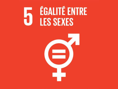 Sprog og Verdensmål - L’égalité entre les sexes