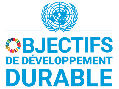 Introøvelse: Les objectifs de développement durable
