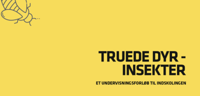 Truede dyr – Insekter