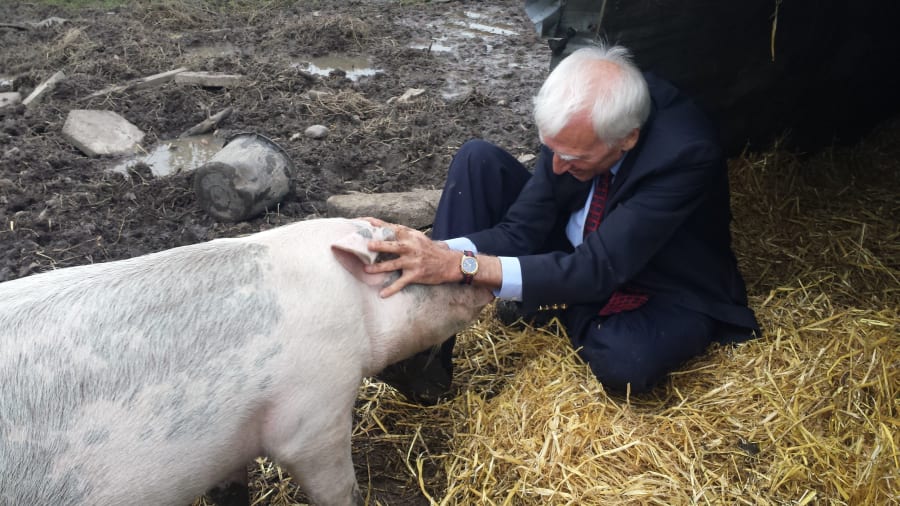 Baron Peter von Kohl er i kontakt med grisen Siegfred fra Dyrenes Frie Farm på Sydfyn. Foto: Made By Us