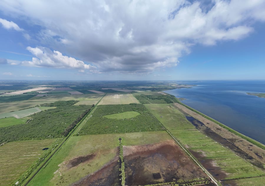 Det kommer til at tage mange år, før Saksfjed Vildmarks fortid som landbrugsområde ikke længere kan ses. Foto: Hempel Fonden