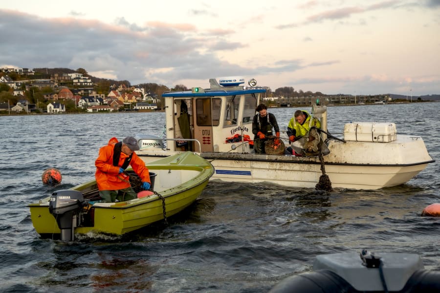 Vejle Amatørfiskerne igang med at lægge blåmuslinger ud i Vejle Fjord. Foto: Mads Fjeldsø Christensen