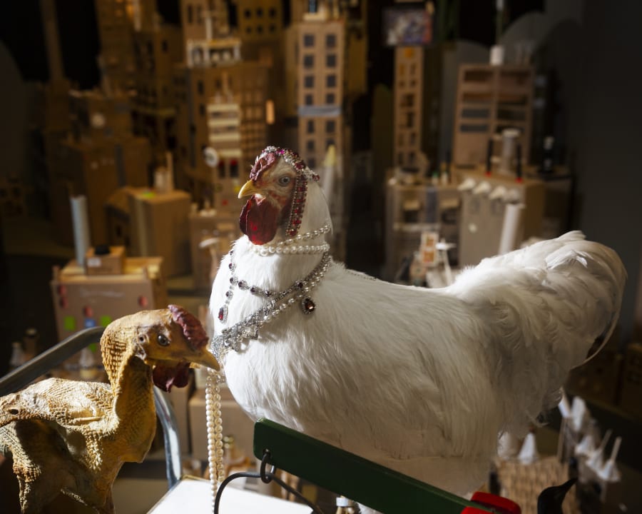 De to høns, der visualisere forskellen på rig og fattig, som er Verdensmål 1 om at afskaffe fattigdom. Foto: Naturhistorisk Museum Aarhus