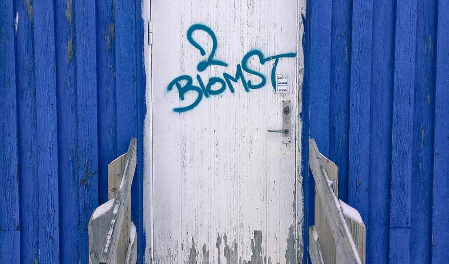 Grønland, sprog og identitet