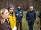 Borgerne beder om biller og brumbasser: Københavns Kommune har vedtaget strategi for biodiversitet