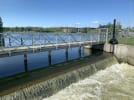 Horsens blev sidste år tilføjet på Kystdirektoratets nationale liste over særligt oversvømmelsestruede områder. Foto: Horsens Kommune.