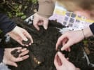 30.000 elever får jord under neglene i verdens største Student Science-projekt