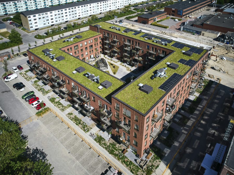 Sedumtage bliver mere og mere populære i forbindelse med etagebyggerier. Foto: Nature Impact.