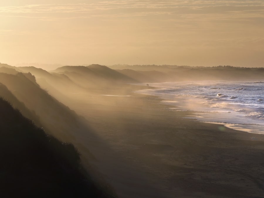 Nationalpark Thy er Danmarks første nationalpark. Foto: Jens Kristian Kjærgaard