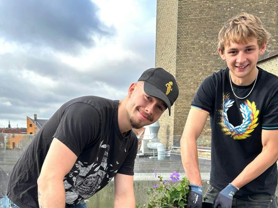 Gymnasievennerne Anker og Asbjørn i fuld sving med at plante bivenlige stauder i plantekasserne på gymnasiets tagterrasse. Foto: Anne Burlund
