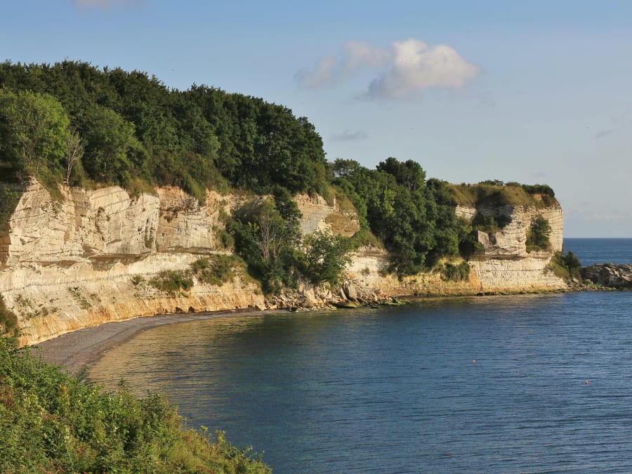 Stevns Klint er et af de få danske naturområder på UNESCOs Verdensarvsliste. Foto: iStock/perreten