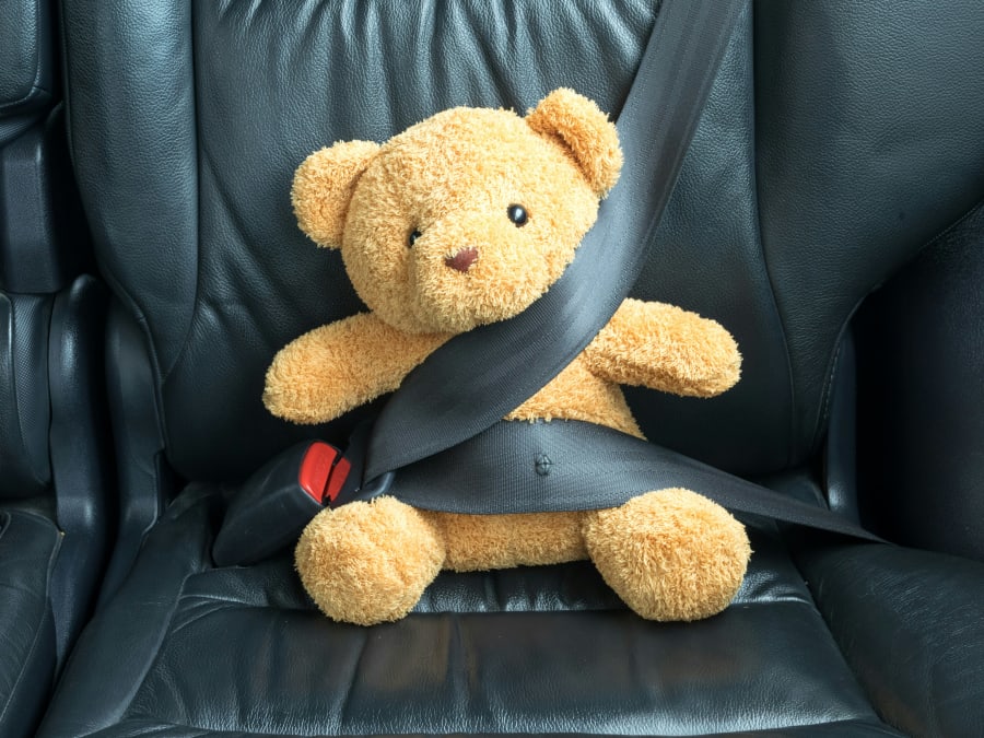 Sikkerhedsselen er del af langt de fleste danskeres routine, når de kører bil. Foto: iStock/zenstock