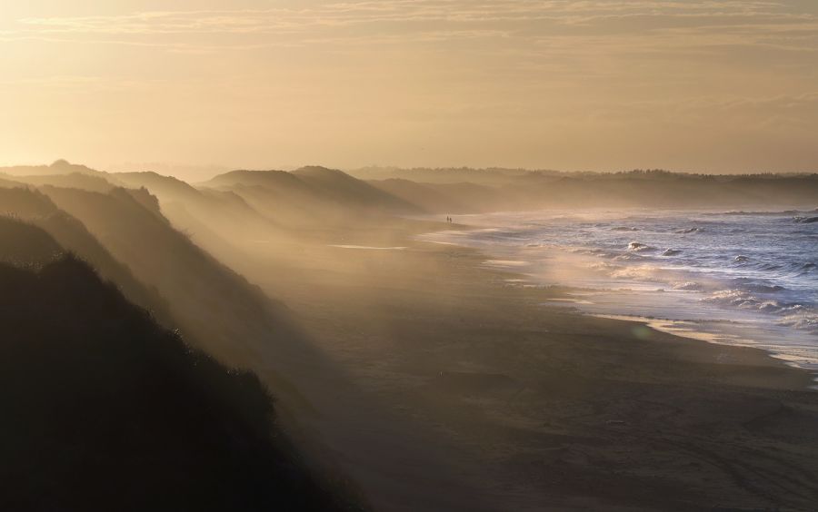 Nationalpark Thy er Danmarks første nationalpark. Foto: Jens Kristian Kjærgaard