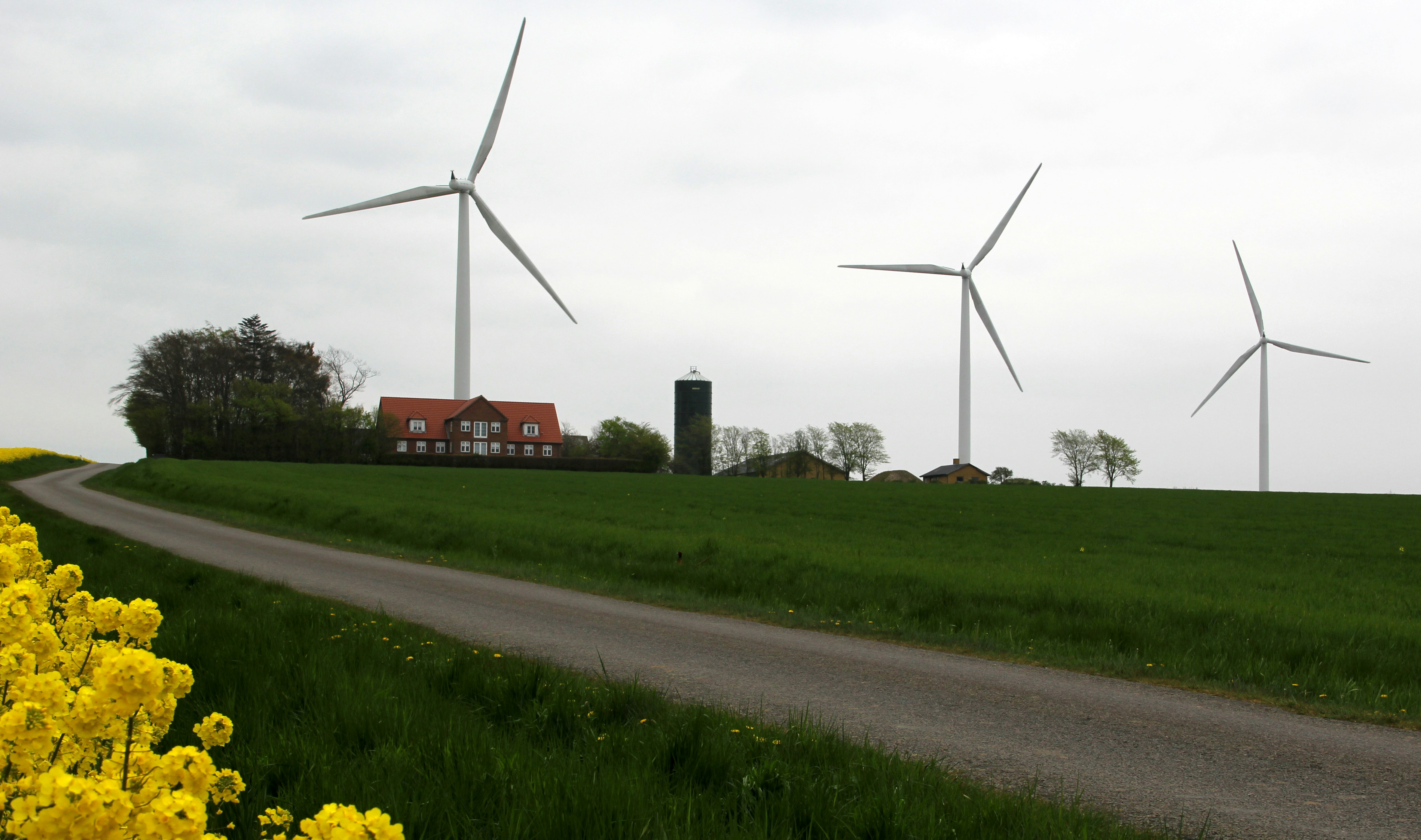 Bornholm Og Samso Er Eu S Bedste Oer Til Gron Energi Verdensmal